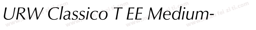 URW Classico T EE Medium字体转换